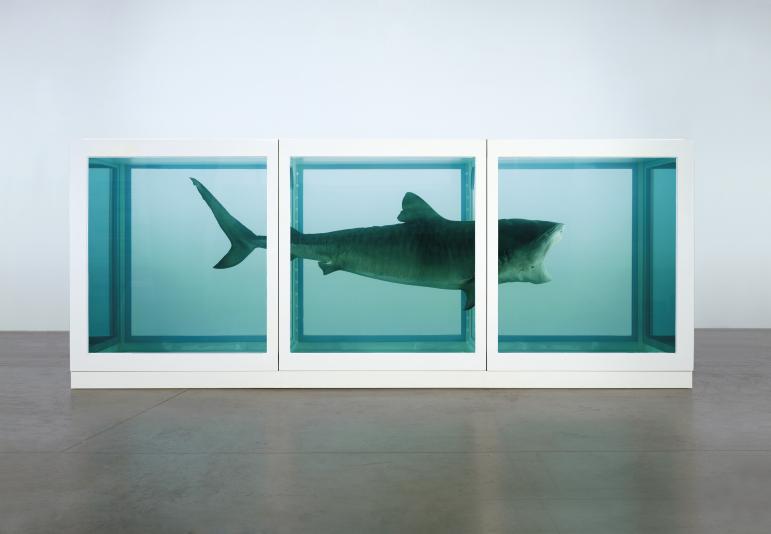 dead shark suspended in formaldehyde by Damien Hirst