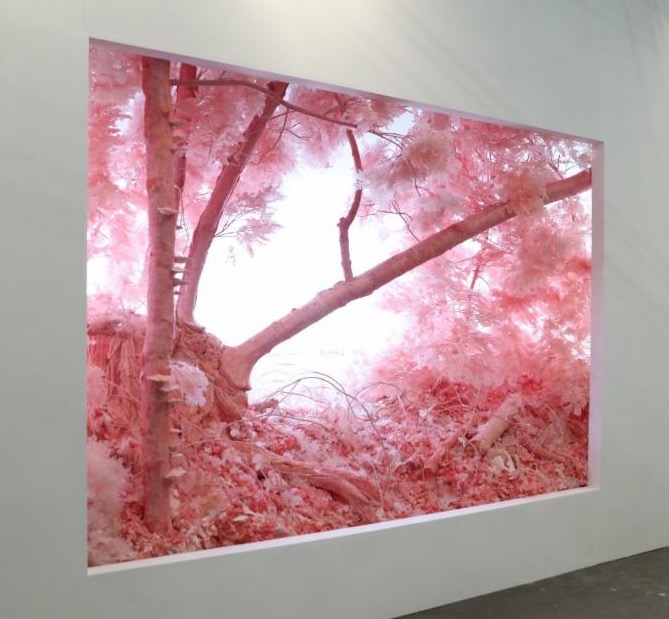 styrene acrylic cast neoprene paper polyurethane foam ash talc starch vinyl film copper wood steel lighting glass Pink forest installation by Patrick jacobs