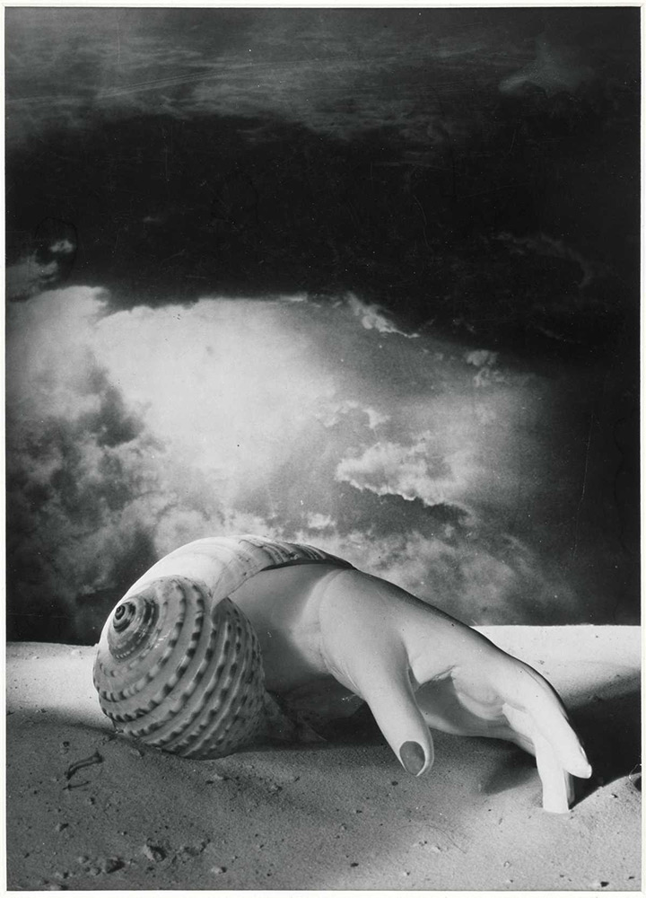 Dora Maar, Untitled (Hand-Shell), 1934.